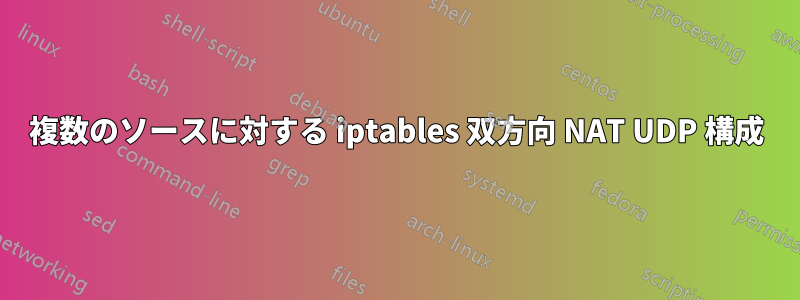 複数のソースに対する iptables 双方向 NAT UDP 構成