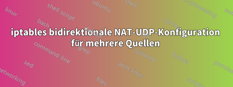 iptables bidirektionale NAT-UDP-Konfiguration für mehrere Quellen