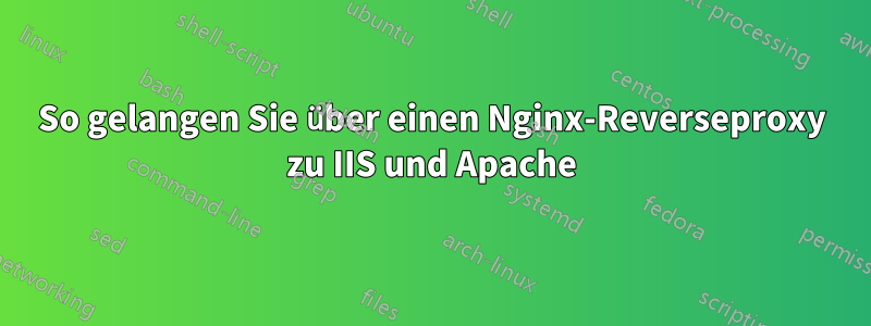 So gelangen Sie über einen Nginx-Reverseproxy zu IIS und Apache