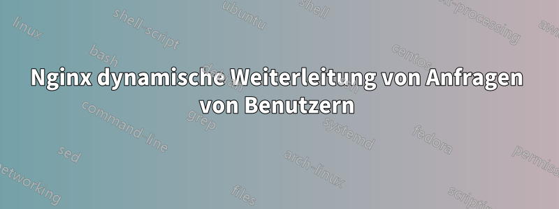 Nginx dynamische Weiterleitung von Anfragen von Benutzern