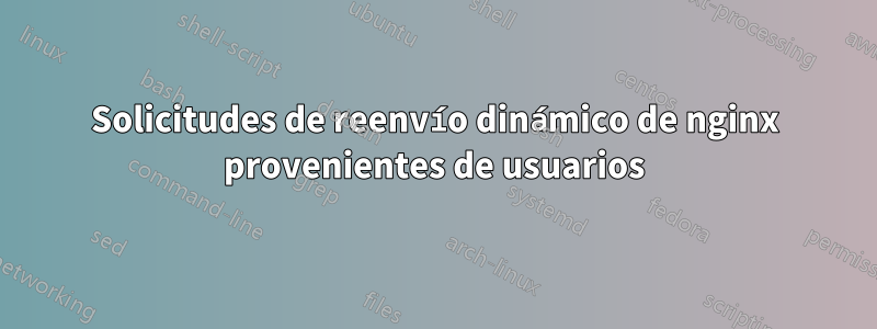 Solicitudes de reenvío dinámico de nginx provenientes de usuarios