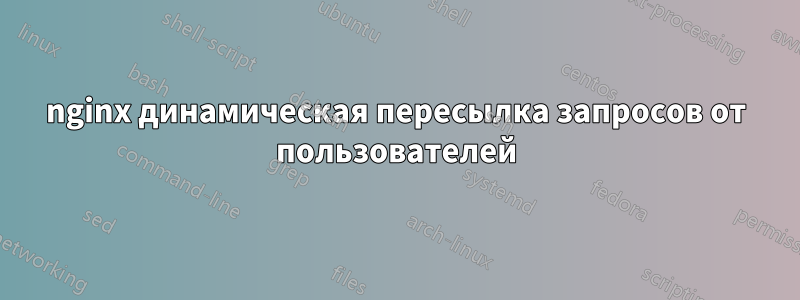 nginx динамическая пересылка запросов от пользователей