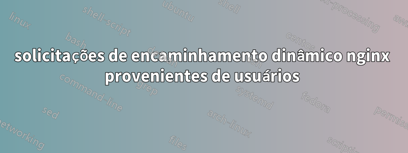 solicitações de encaminhamento dinâmico nginx provenientes de usuários