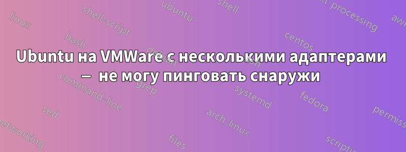 Ubuntu на VMWare с несколькими адаптерами — не могу пинговать снаружи