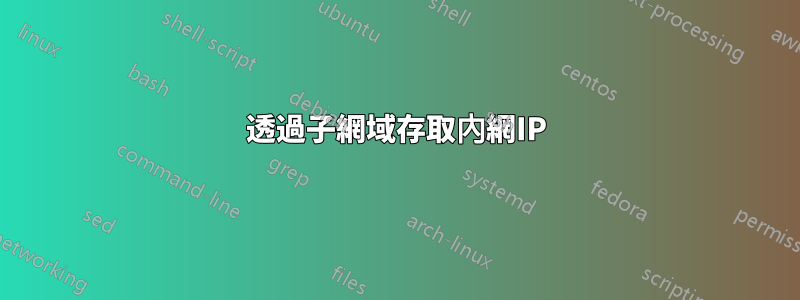 透過子網域存取內網IP