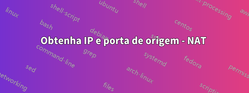Obtenha IP e porta de origem - NAT
