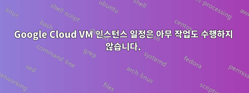 Google Cloud VM 인스턴스 일정은 아무 작업도 수행하지 않습니다.