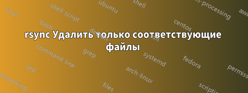 rsync Удалить только соответствующие файлы