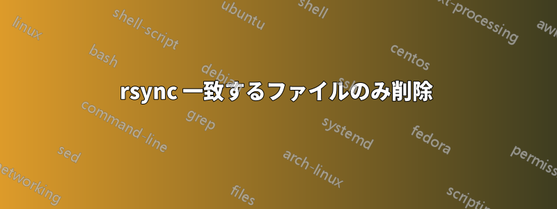 rsync 一致するファイルのみ削除