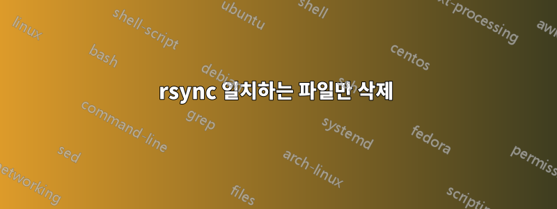 rsync 일치하는 파일만 삭제