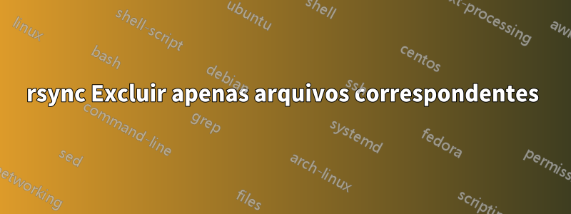 rsync Excluir apenas arquivos correspondentes