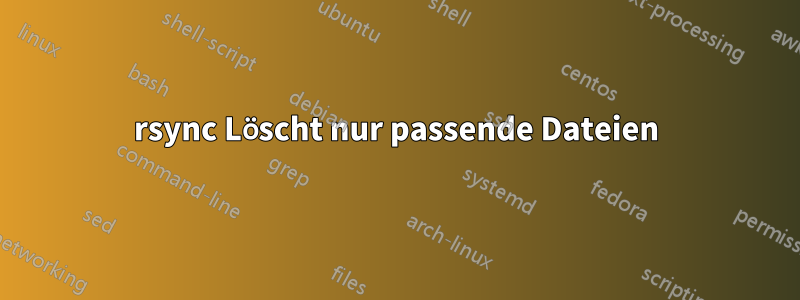 rsync Löscht nur passende Dateien