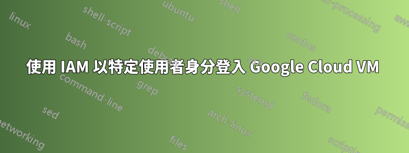 使用 IAM 以特定使用者身分登入 Google Cloud VM