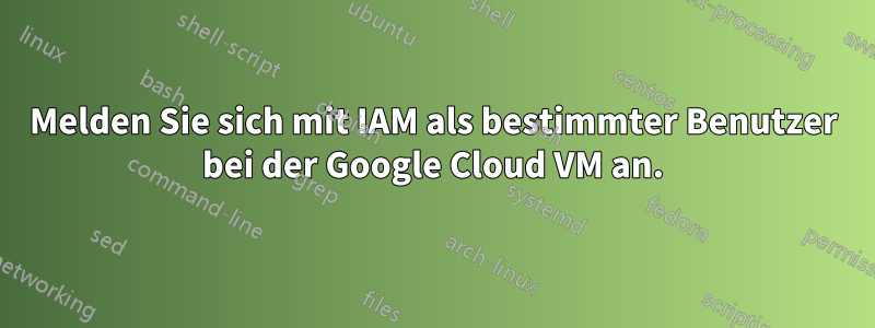 Melden Sie sich mit IAM als bestimmter Benutzer bei der Google Cloud VM an.