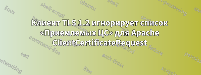 Клиент TLS 1.2 игнорирует список «Приемлемых ЦС» для Apache ClientCertificateRequest