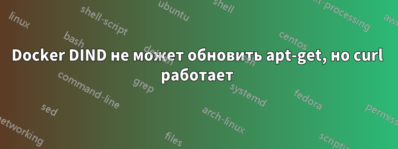 Docker DIND не может обновить apt-get, но curl работает