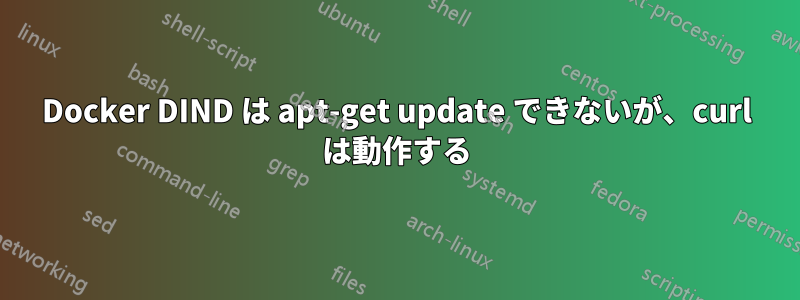 Docker DIND は apt-get update できないが、curl は動作する