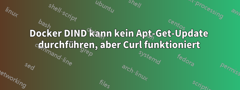 Docker DIND kann kein Apt-Get-Update durchführen, aber Curl funktioniert