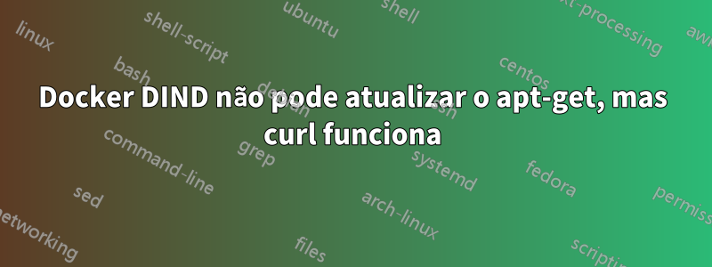Docker DIND não pode atualizar o apt-get, mas curl funciona