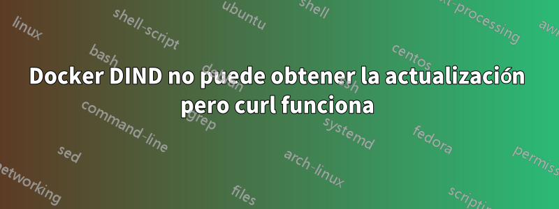 Docker DIND no puede obtener la actualización pero curl funciona