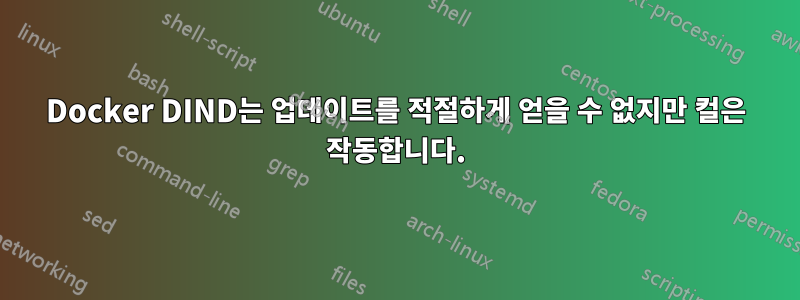 Docker DIND는 업데이트를 적절하게 얻을 수 없지만 컬은 작동합니다.