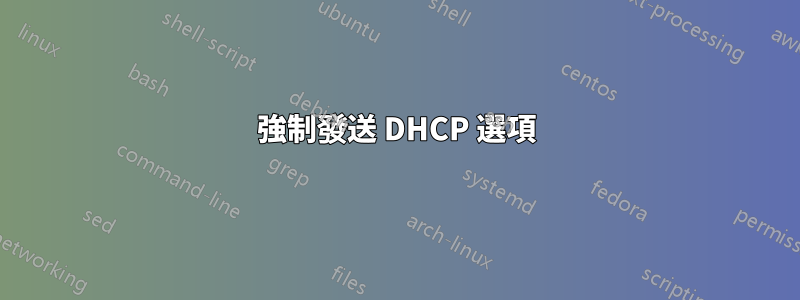 強制發送 DHCP 選項