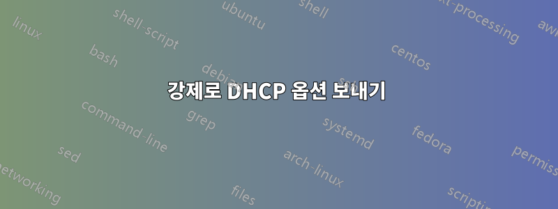 강제로 DHCP 옵션 보내기