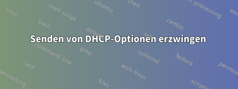 Senden von DHCP-Optionen erzwingen