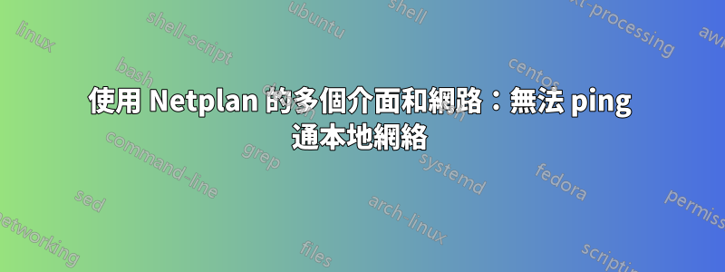 使用 Netplan 的多個介面和網路：無法 ping 通本地網絡