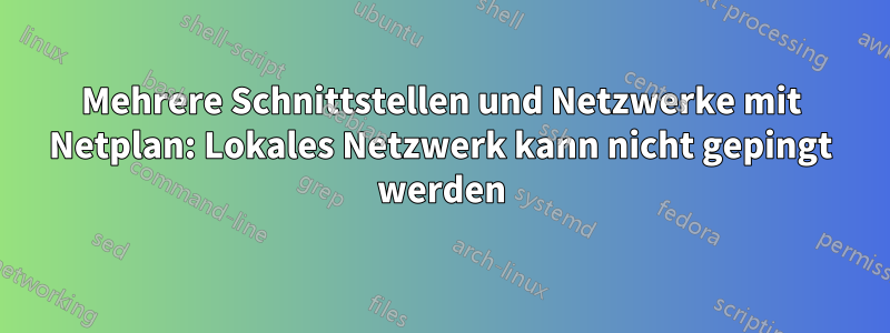 Mehrere Schnittstellen und Netzwerke mit Netplan: Lokales Netzwerk kann nicht gepingt werden