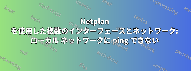 Netplan を使用した複数のインターフェースとネットワーク: ローカル ネットワークに ping できない