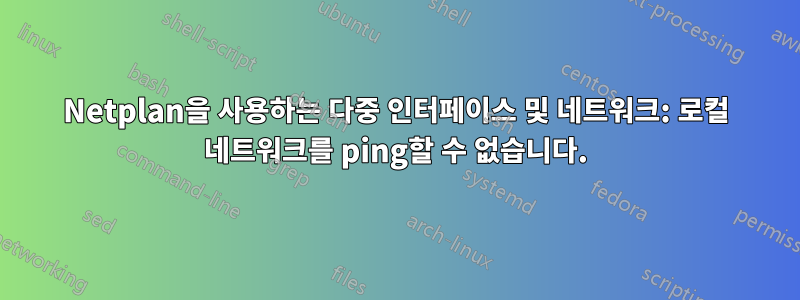 Netplan을 사용하는 다중 인터페이스 및 네트워크: 로컬 네트워크를 ping할 수 없습니다.