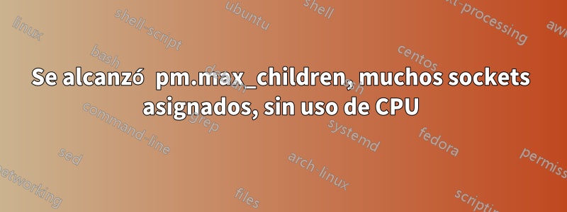 Se alcanzó pm.max_children, muchos sockets asignados, sin uso de CPU