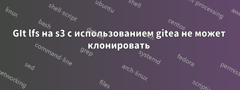 GIt lfs на s3 с использованием gitea не может клонировать