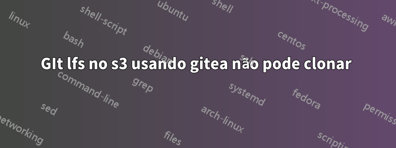 GIt lfs no s3 usando gitea não pode clonar