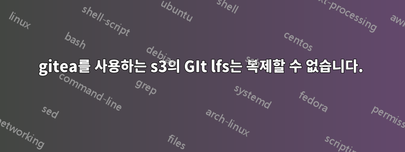 gitea를 사용하는 s3의 GIt lfs는 복제할 수 없습니다.