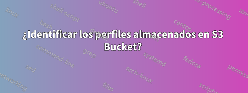 ¿Identificar los perfiles almacenados en S3 Bucket?