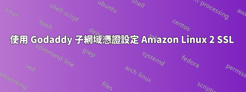 使用 Godaddy 子網域憑證設定 Amazon Linux 2 SSL