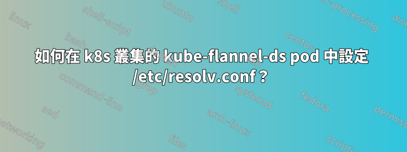 如何在 k8s 叢集的 kube-flannel-ds pod 中設定 /etc/resolv.conf？