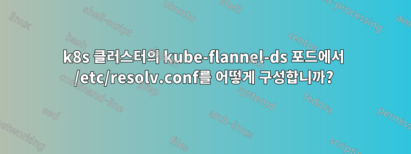 k8s 클러스터의 kube-flannel-ds 포드에서 /etc/resolv.conf를 어떻게 구성합니까?