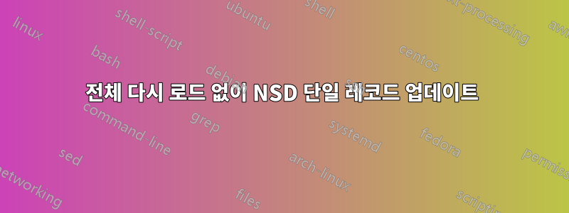 전체 다시 로드 없이 NSD 단일 레코드 업데이트