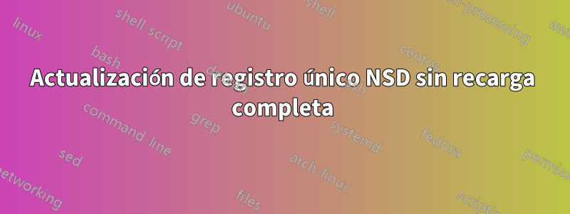 Actualización de registro único NSD sin recarga completa