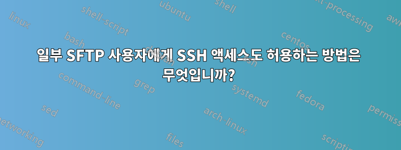 일부 SFTP 사용자에게 SSH 액세스도 허용하는 방법은 무엇입니까?