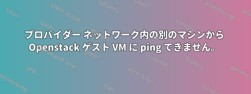 プロバイダー ネットワーク内の別のマシンから Openstack ゲスト VM に ping できません。