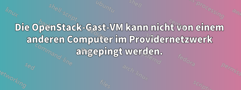 Die OpenStack-Gast-VM kann nicht von einem anderen Computer im Providernetzwerk angepingt werden.