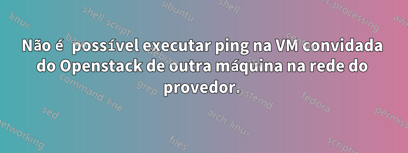 Não é possível executar ping na VM convidada do Openstack de outra máquina na rede do provedor.