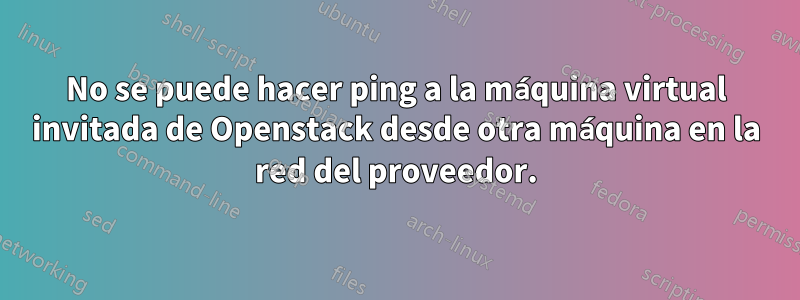 No se puede hacer ping a la máquina virtual invitada de Openstack desde otra máquina en la red del proveedor.