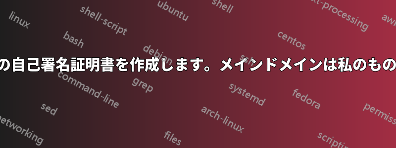 サブドメイン用の自己署名証明書を作成します。メインドメインは私のものではありません