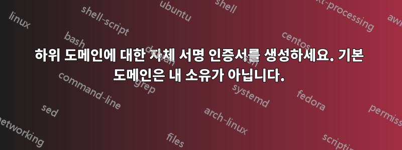 하위 도메인에 대한 자체 서명 인증서를 생성하세요. 기본 도메인은 내 소유가 아닙니다.