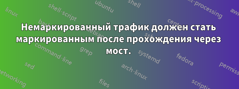 Немаркированный трафик должен стать маркированным после прохождения через мост.